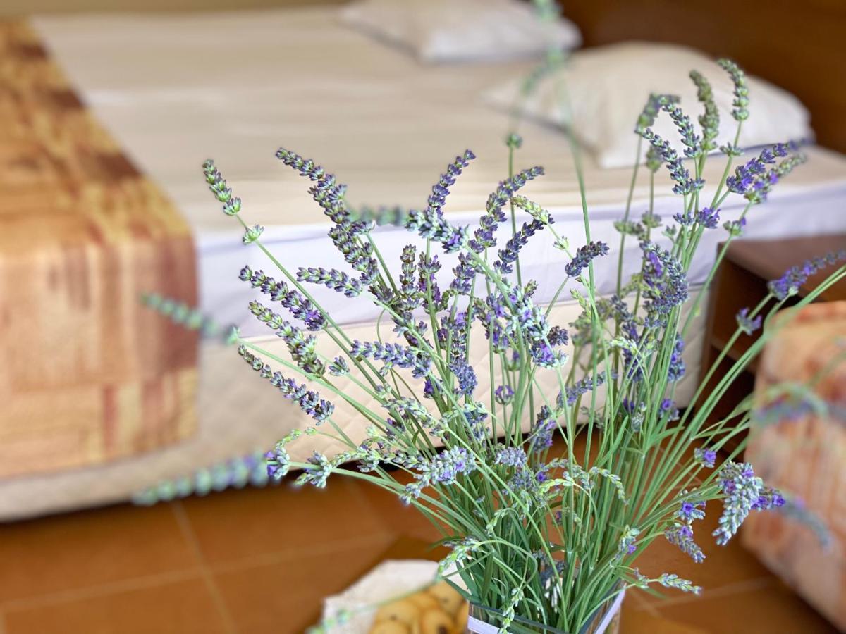 Hotel Plamena Palace Πριμόρσκο Εξωτερικό φωτογραφία