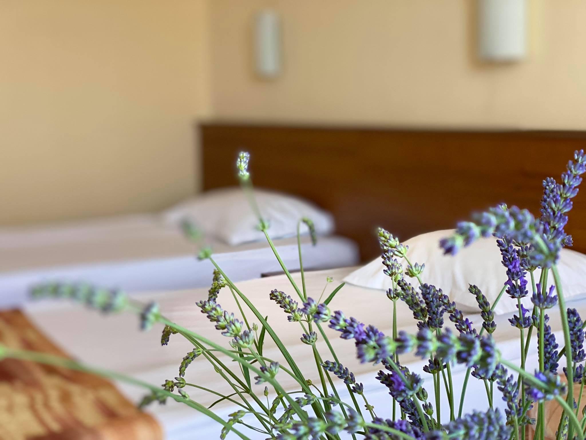 Hotel Plamena Palace Πριμόρσκο Εξωτερικό φωτογραφία