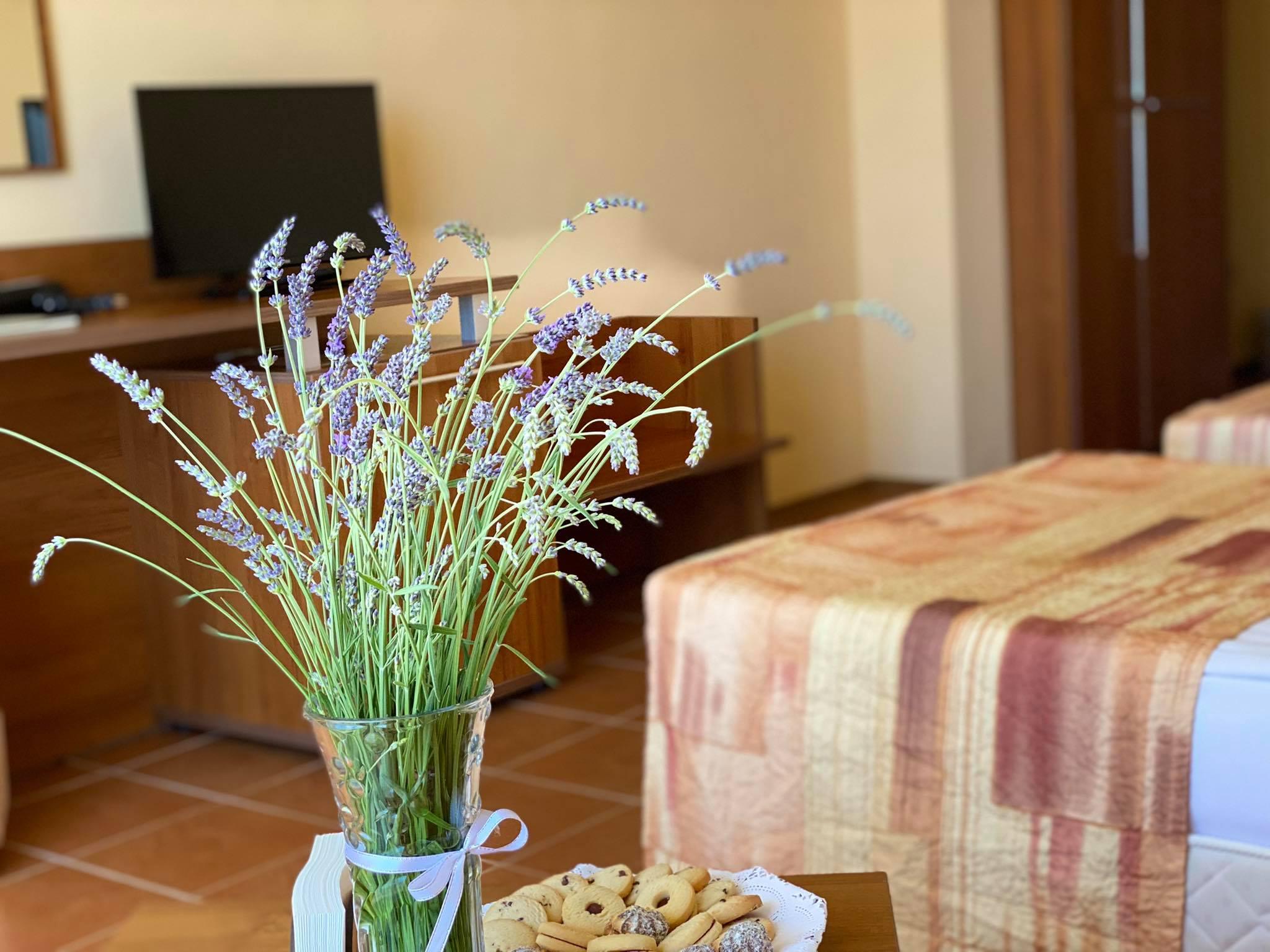 Hotel Plamena Palace Πριμόρσκο Εξωτερικό φωτογραφία